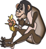 Chimp Eating A Banana Clip Art